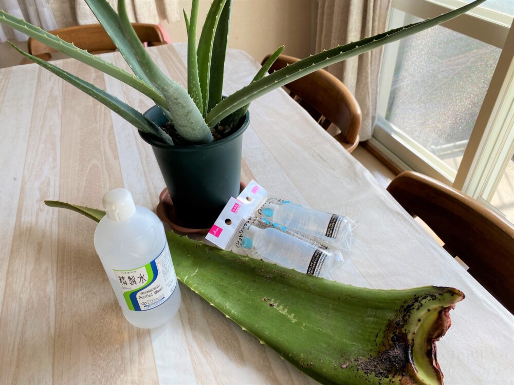 敏感肌におススメ 手作りアロエ化粧水 レモンバーム キッチン